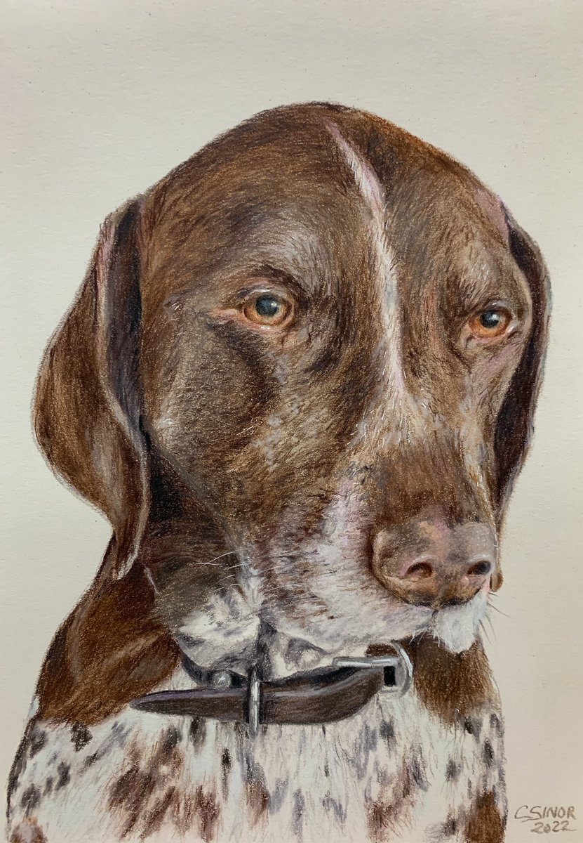 they call me Pencils tweet media