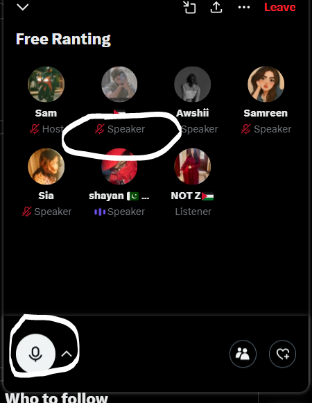 🇵🇸 tweet media