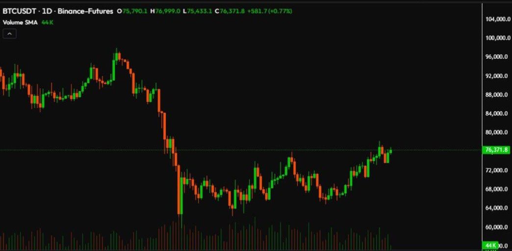 Alimadao tweet media