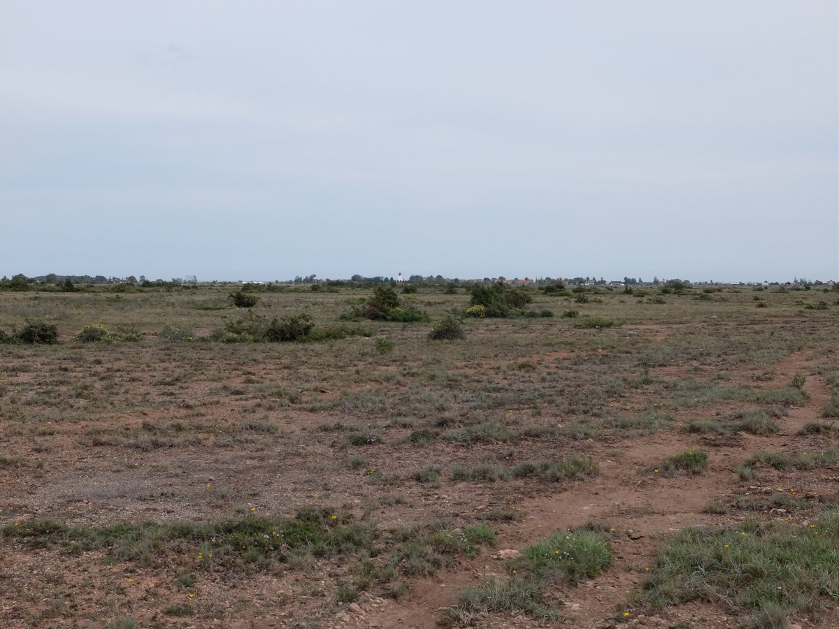 Eva Dillner 🇸🇪 🇺🇸 tweet media