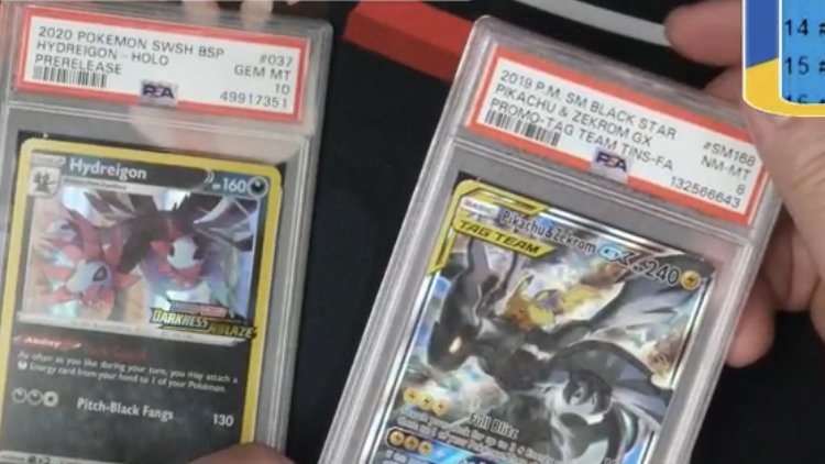 Josh #gowturgang tweet media