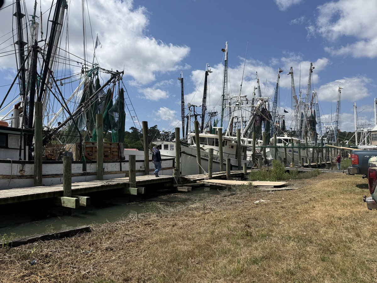 NEW: <a href="/SCDNR/">S.C. Dept. of Natural Resources</a> has released an opening day for provisional trawl areas, expected to start up on April 29. Local shrimpers tell me they are optimistic heading into this season. <a href="/WCBD/">WCBD News 2 | Count on 2</a>
