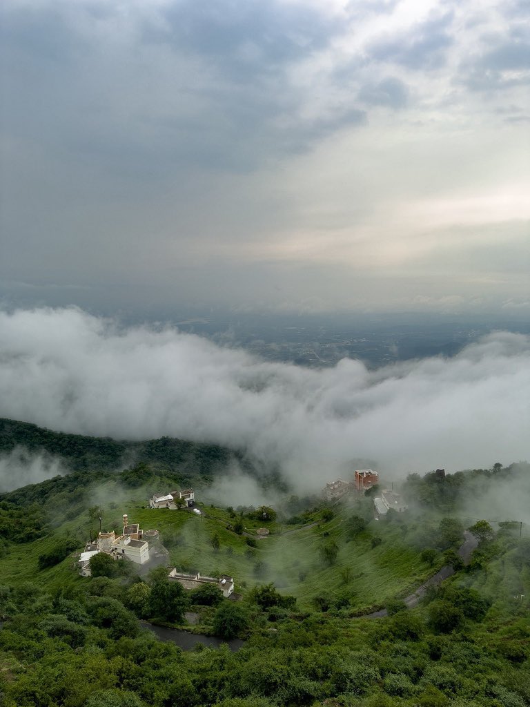 Made In Saudi tweet media