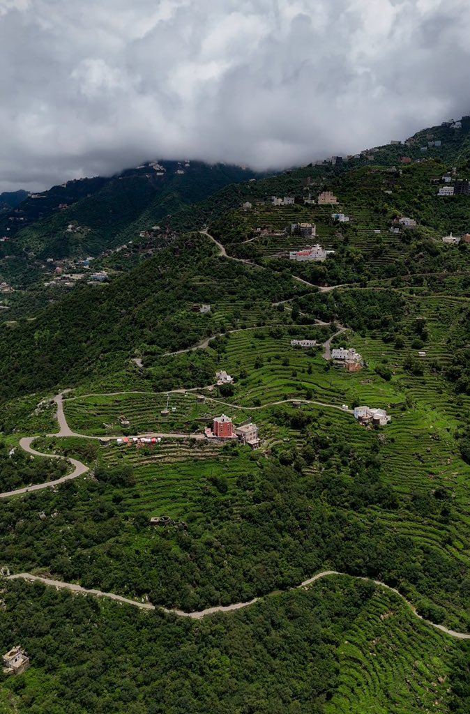 Made In Saudi tweet media