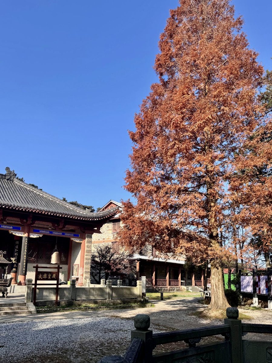 angelica rivera tweet media