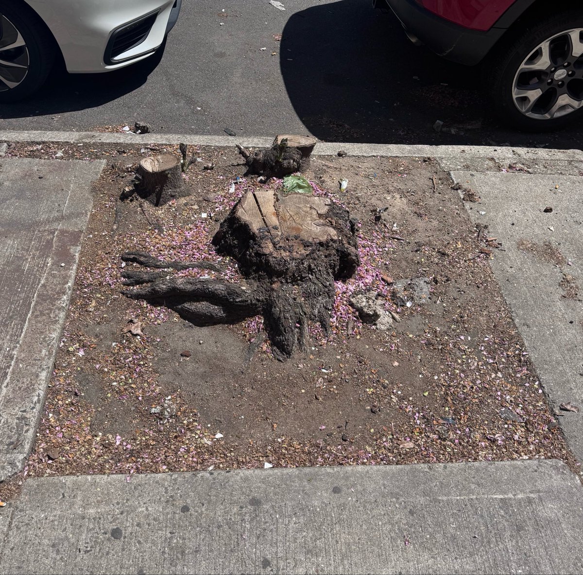 (((Simon Hardy Butler)))🇺🇸🇮🇱🇺🇦 tweet media