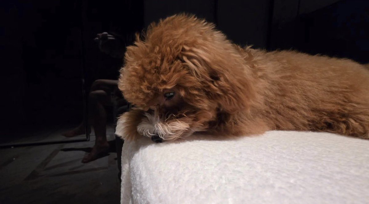 • บ๊อกแบ๊กที่เป็นม๋าเด็ก ੯‧̀͡⬮ • tweet media