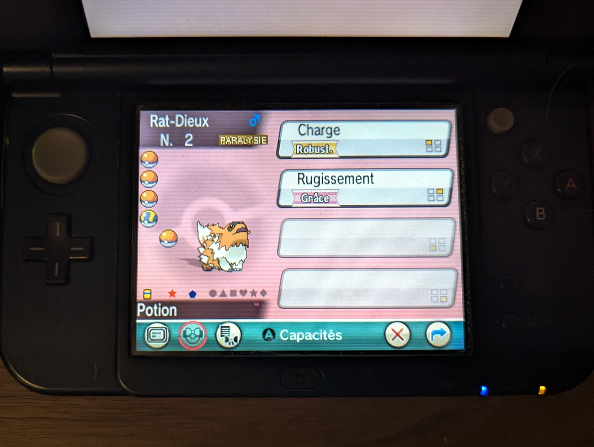 AndreaPoulpy's tweet photo. Shiny Zigzagoon in Omega Ruby after 465 horde encounters (2325 pokémon seen), phase 1 for the 5% Ralts horde for the 3rd step of my Hoenn region tour ! I was expecting to phase and Zigzagoon is a really cute shiny so i can't complain ✨ https://t.co/7PvsEy13Kc