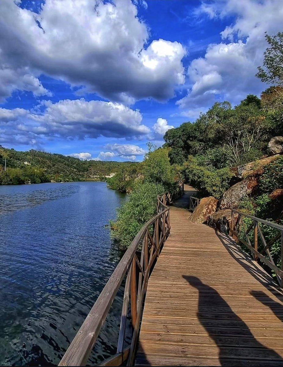alentejo_1970's tweet image. Alguns dos Passadiços de #Portugal 🇵🇹
. Castelo de Almourol no percurso pedestre entre Constância e Vila Nova da Barquinha
. Passadiços do Alamal – Gavião
. Passadiços das Fragas de São Simão
. Passadiços de Fiães e das Ribeiras do Uíma