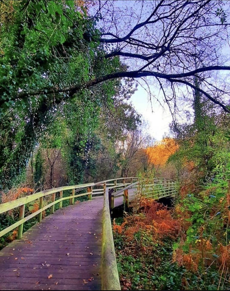 alentejo_1970's tweet image. Alguns dos Passadiços de #Portugal 🇵🇹
. Castelo de Almourol no percurso pedestre entre Constância e Vila Nova da Barquinha
. Passadiços do Alamal – Gavião
. Passadiços das Fragas de São Simão
. Passadiços de Fiães e das Ribeiras do Uíma