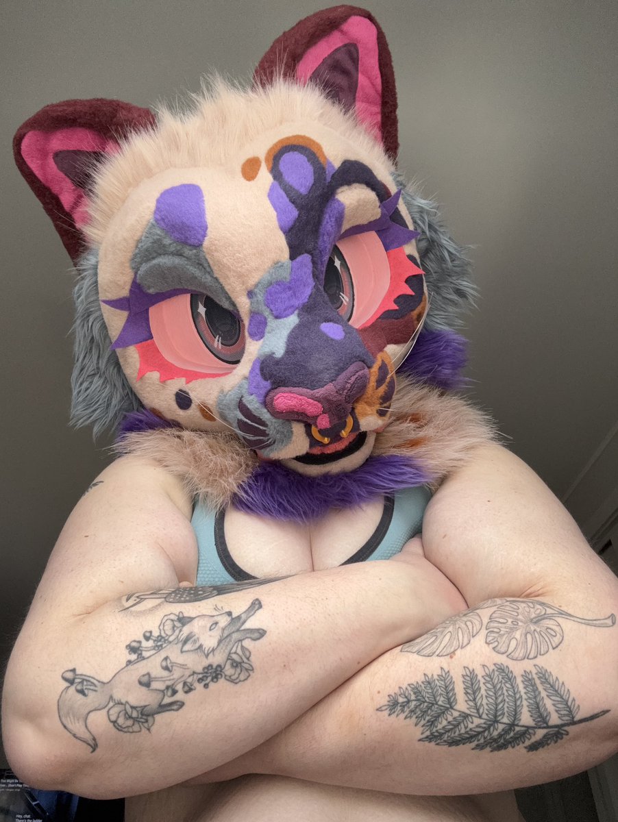 good pup, bad kitty⚜️ tweet media