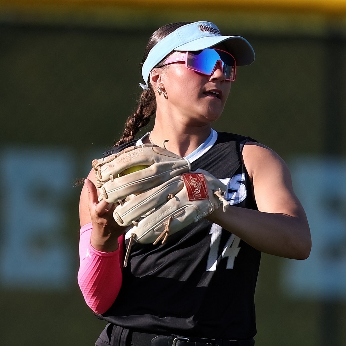 John Cross Photography tweet media