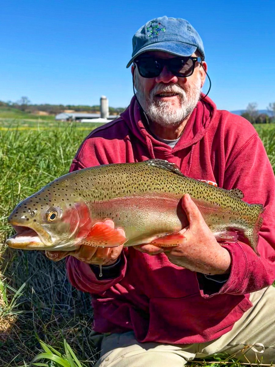 mossycreekstore's tweet image. A beast of a fish with Boyd today. Small nymph and 5x was necessary to get this fish to eat in the bright sun today. Congrats on a great fish Boyd! #trout #rainbowtrout #flyfishing #flyshop #mossycreekflyfishing