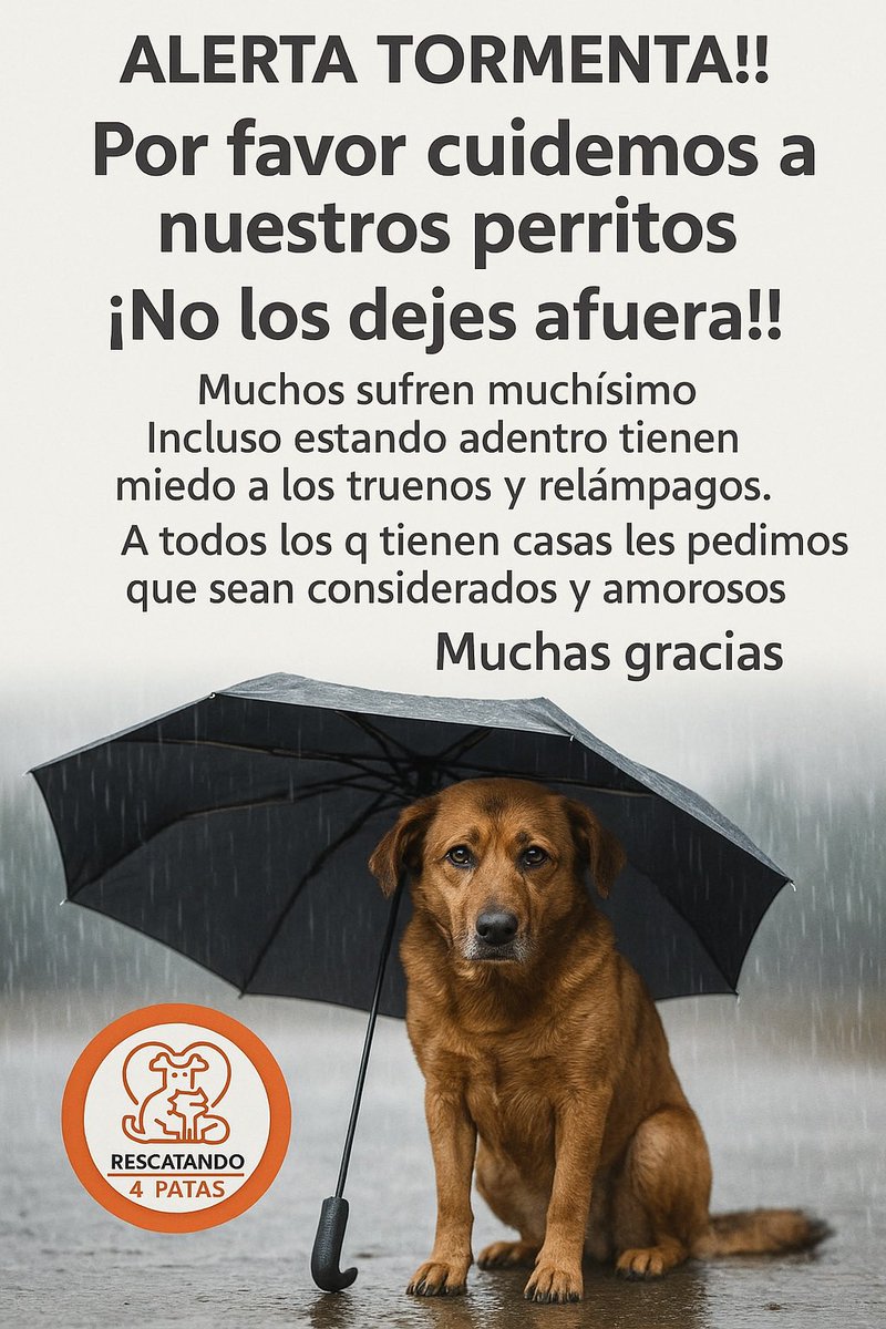 Rescatando4patas tweet media