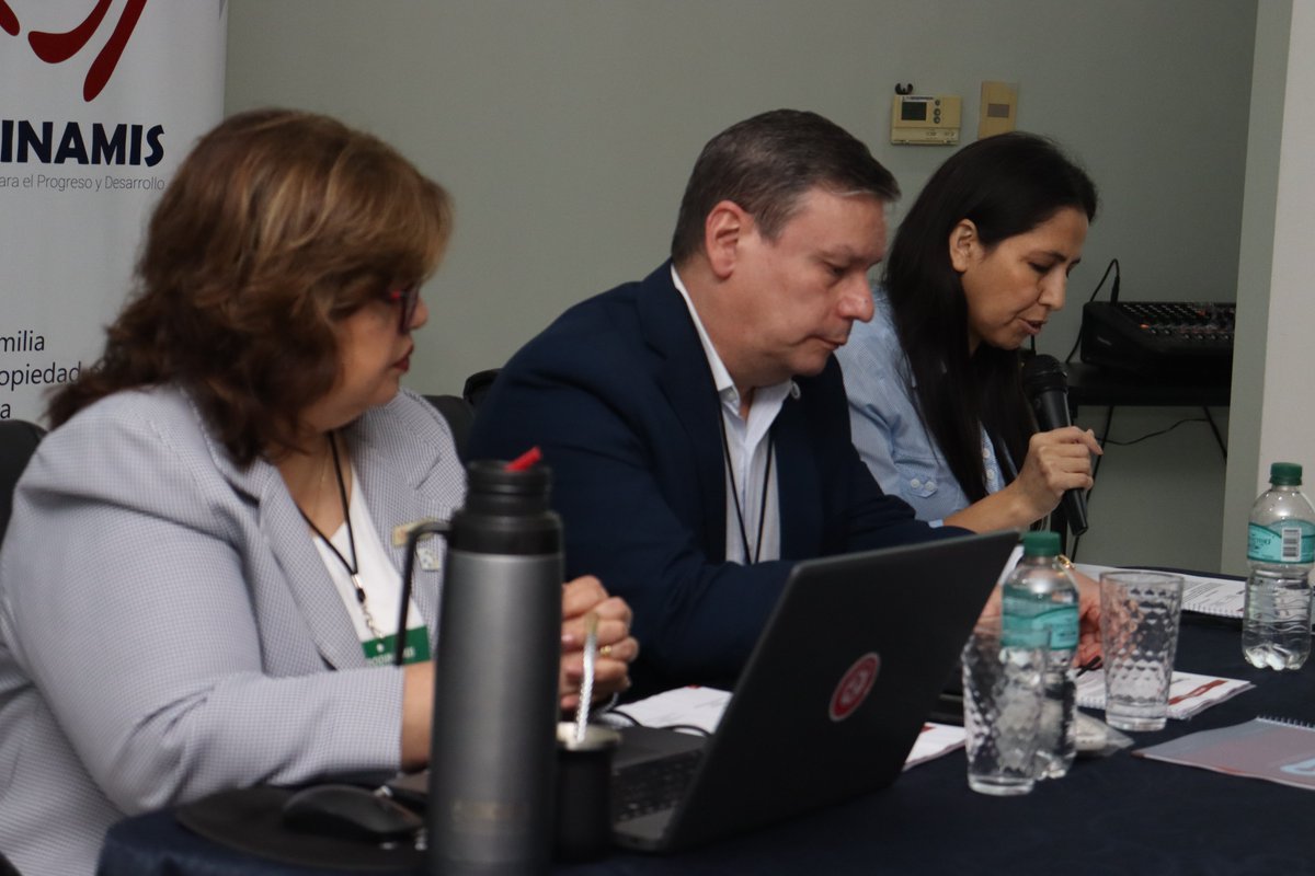 PRODINAMIS tweet media