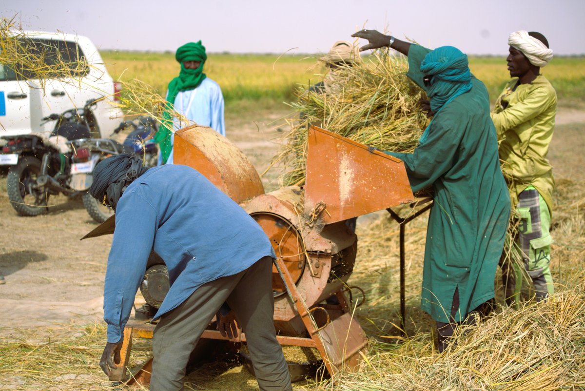 WFP Mali tweet media
