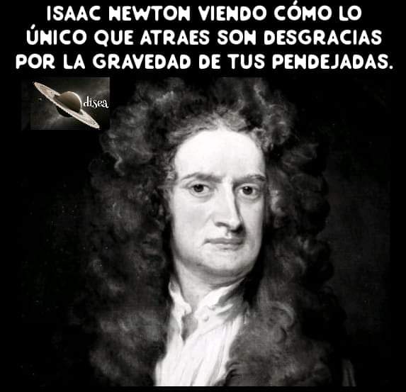 don quique tweet media
