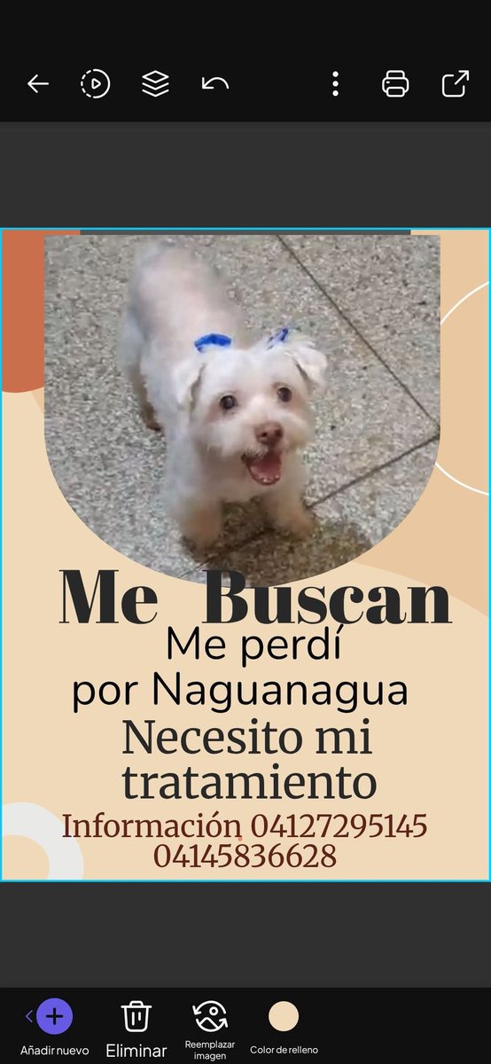 PerroUsuario's tweet photo. Se busca en Naguanagua estado Carabobo https://t.co/lZ5hQYg59C