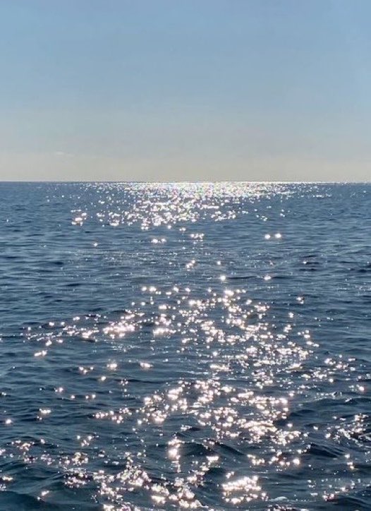 lunecrumbss's tweet photo. when the ocean glitters https://t.co/F6ogLvDMep