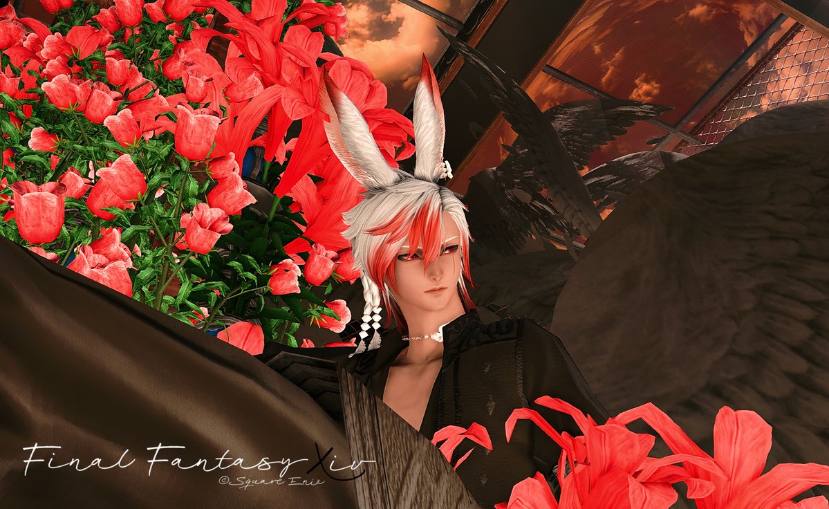 ひい@パンデモ tweet media