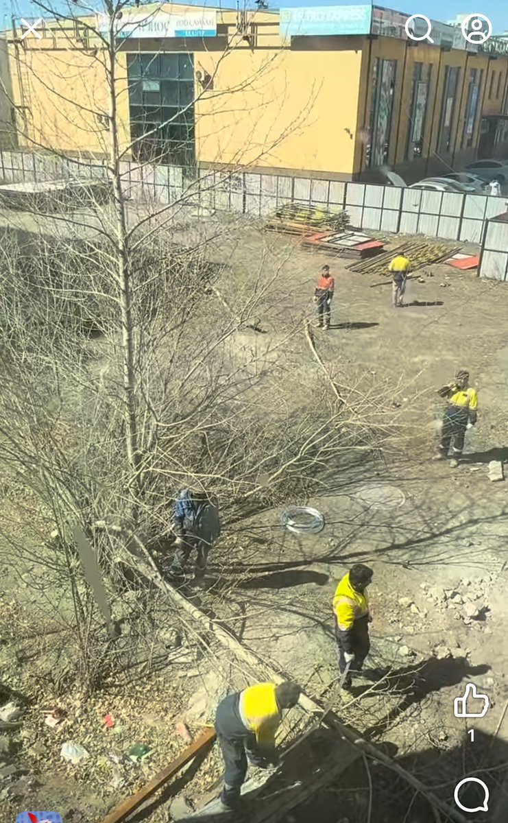 ᠭᠠᠩᠵᠣᠷᠢᠭ  tweet media