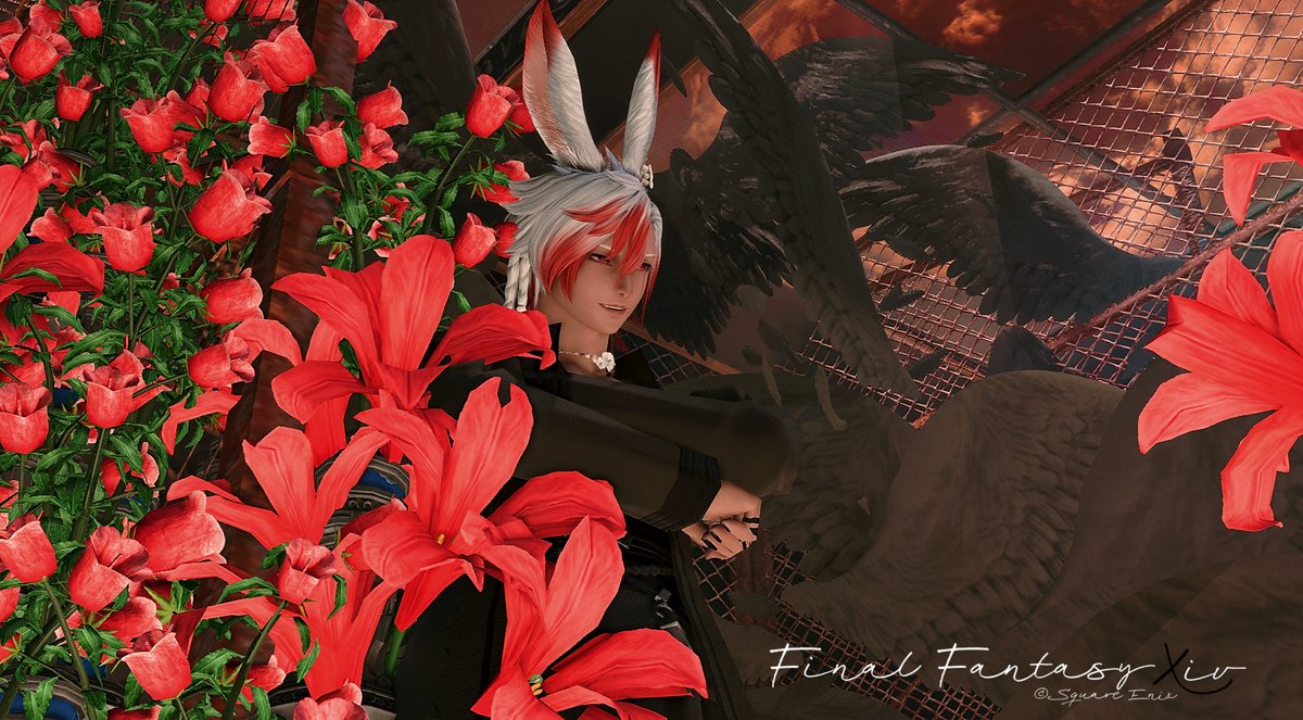 ひい@パンデモ tweet media