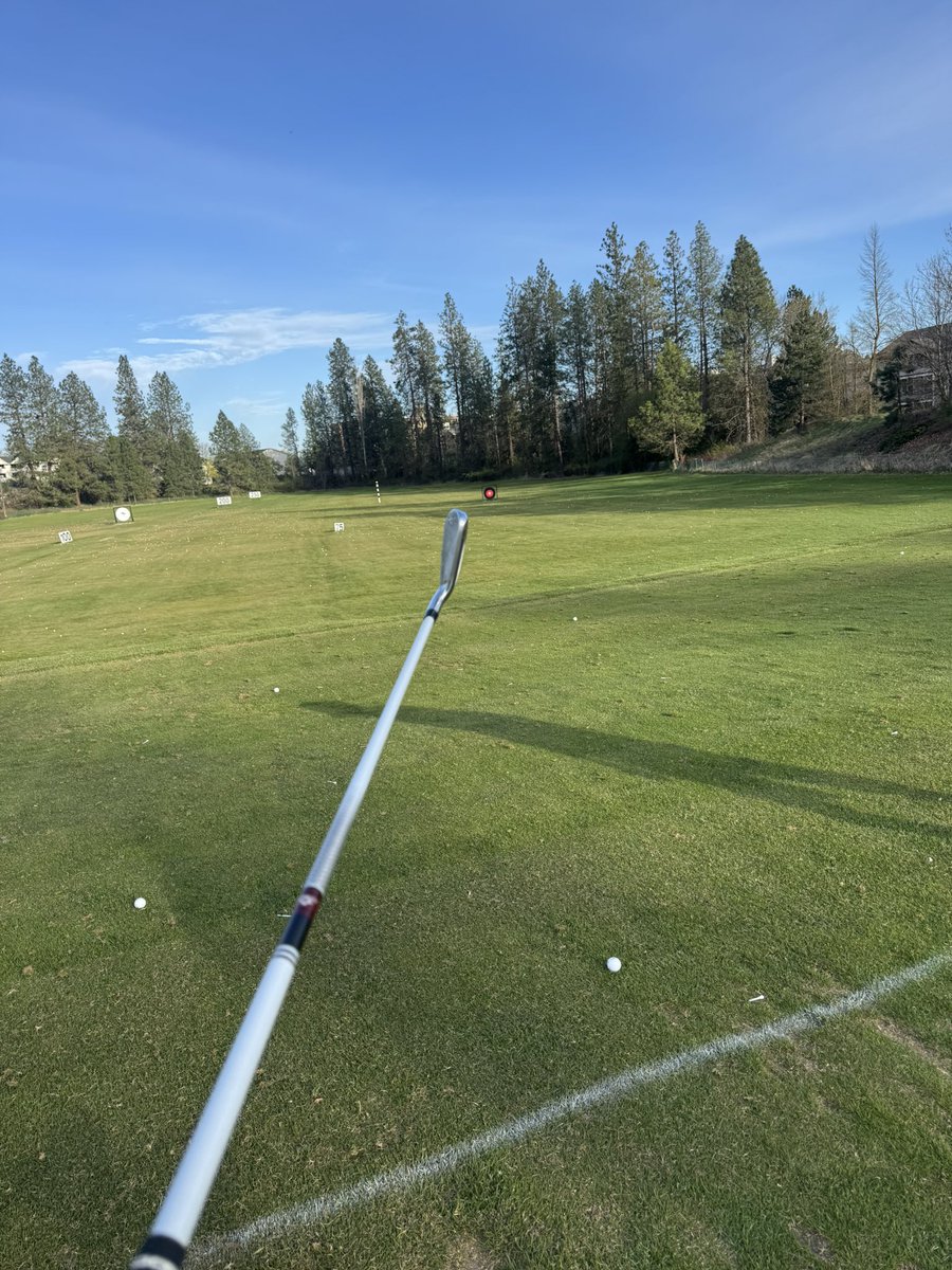 viktorious hovland tweet media