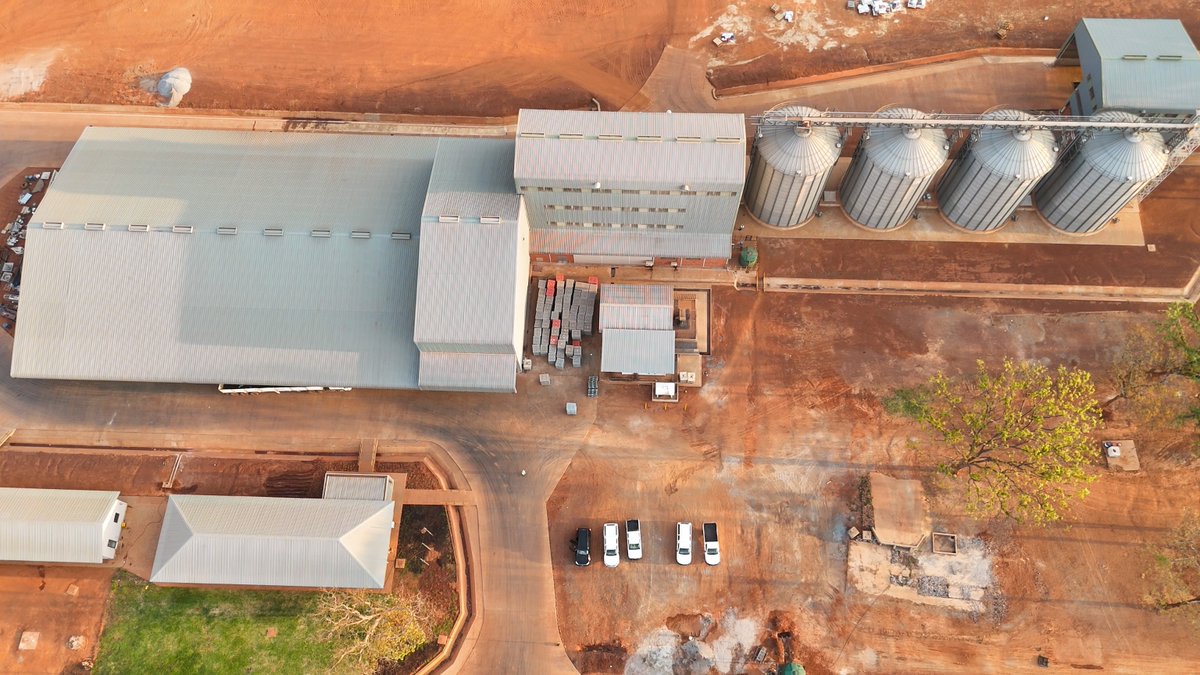 WBG_AgriFood's tweet image. A new wheat flour mill at @MyZambeef’s Mpongwe Farms can process a massive 150 tonnes of wheat daily. @IFC_org is supporting the company to create jobs, build skills, and contribute to food security in Zambia and the region. 
➡️ wrld.bg/aX1N50YLXiw
#Agribusiness
