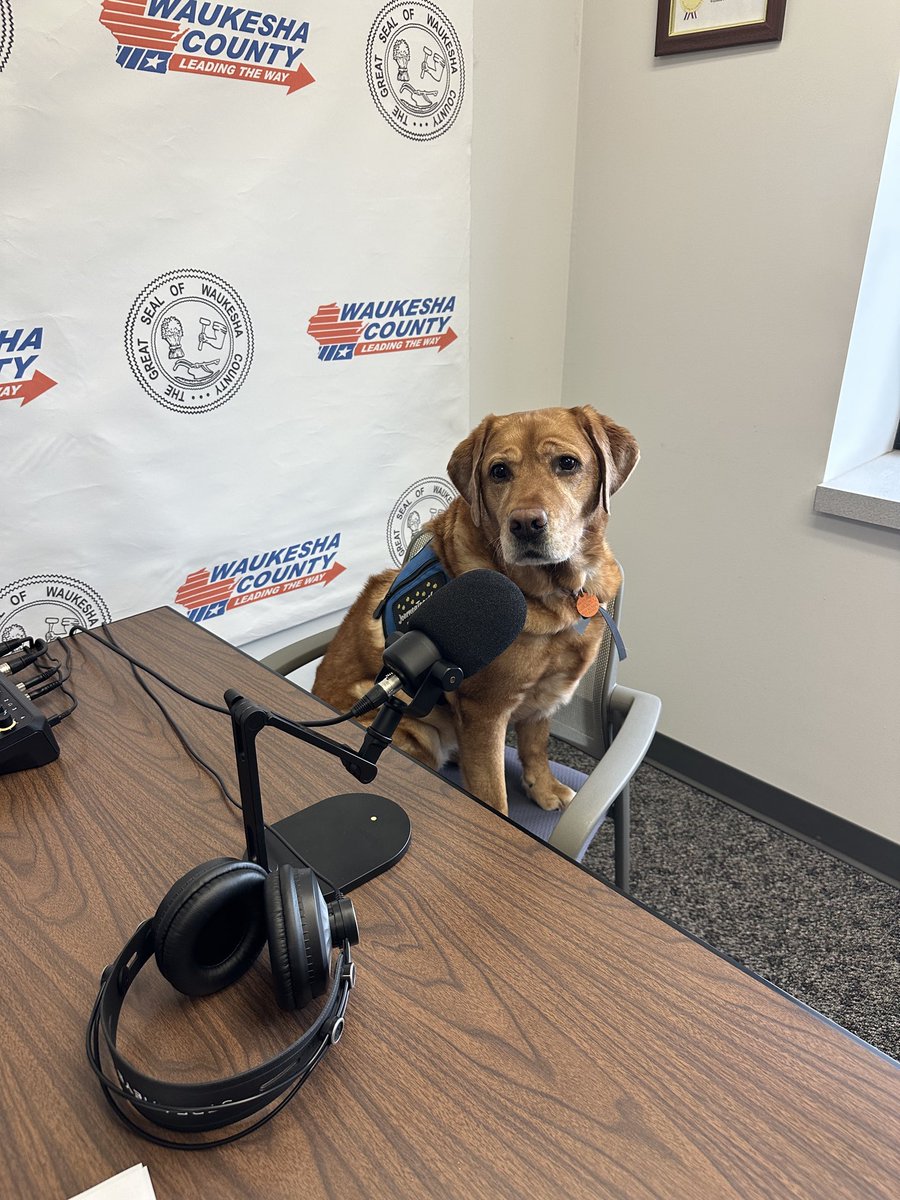 HILLARY_MINTZ's tweet photo. What, you’ve never had a dog on your podcast before? #GovCast https://t.co/ULl6uv6Bd7