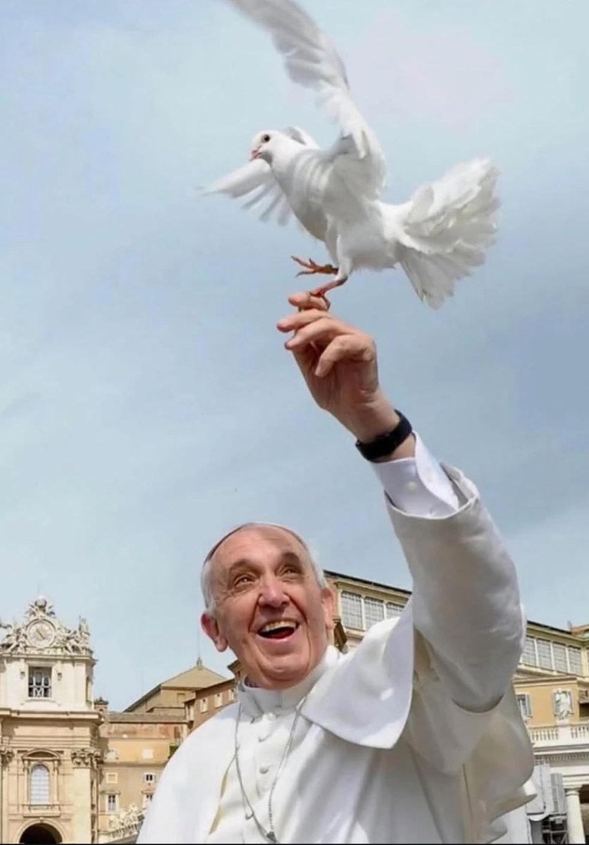 Liliana Arnabal tweet media