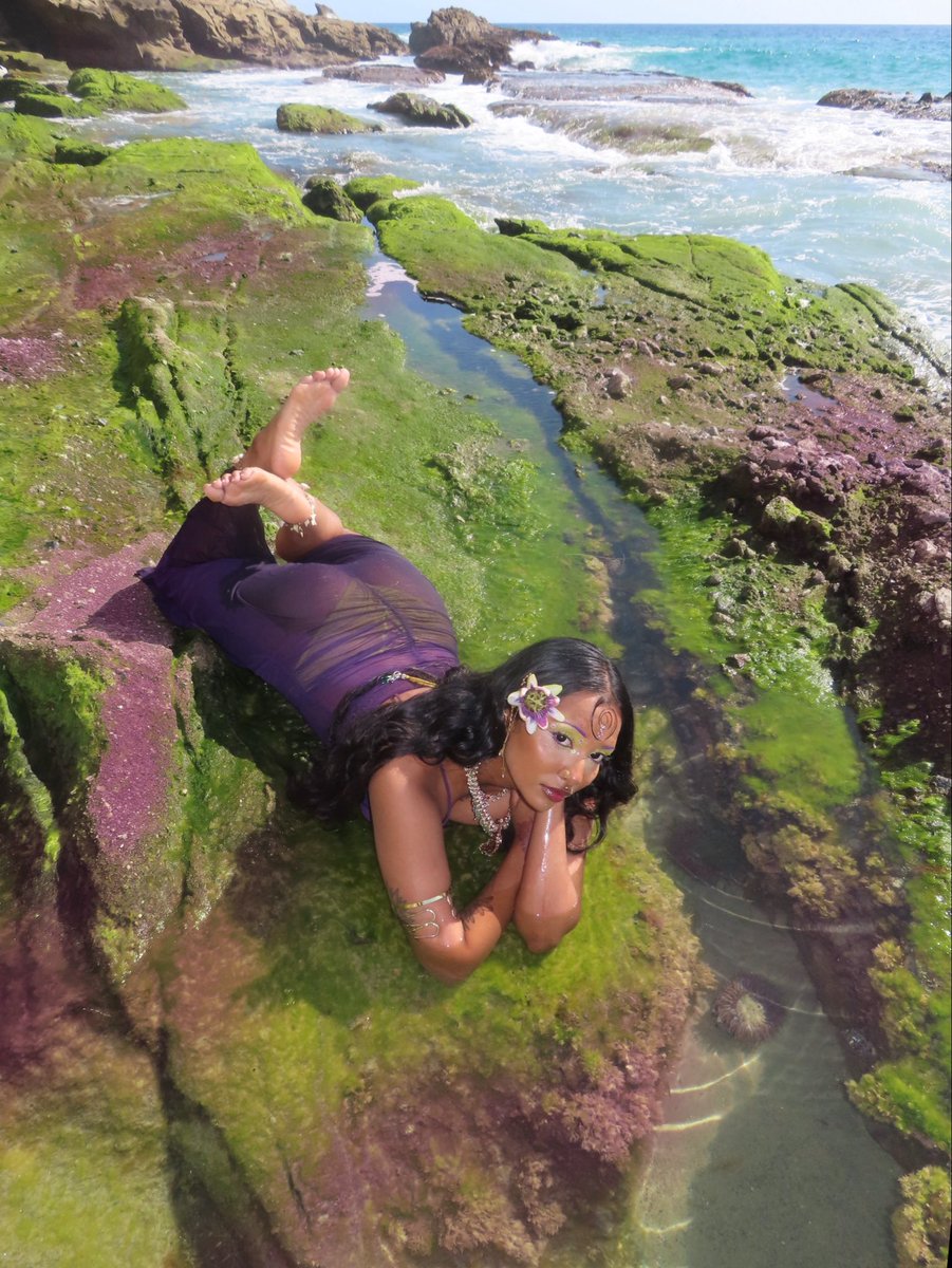 rani means queen tweet media