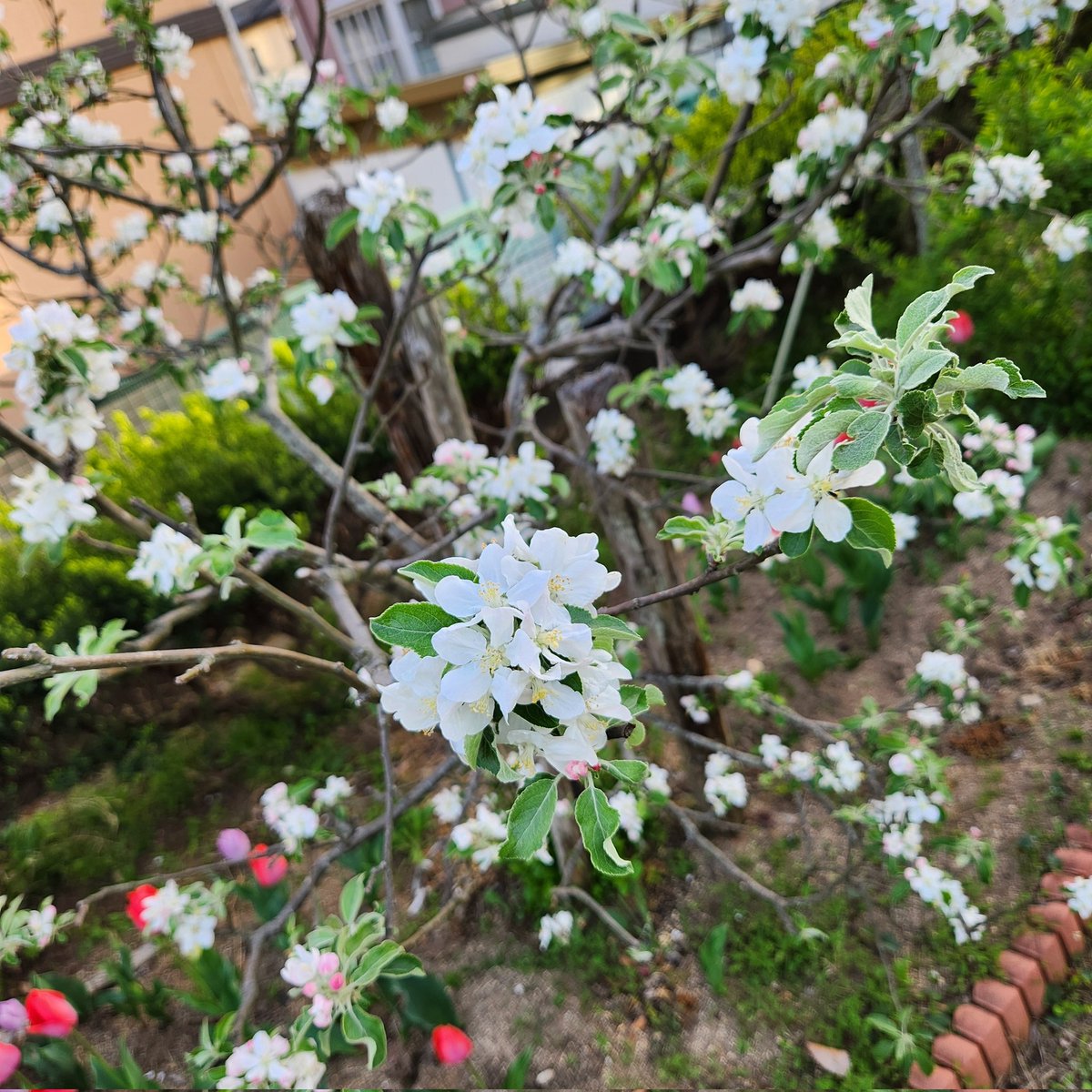 深谷陽 tweet media