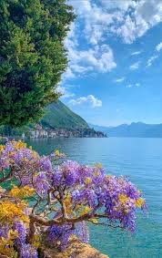 LorenzoSchiliro's tweet image. Happy Tuesday &amp;amp; Beautiful evening dear Marie 😘💫👋🌺✨
#NatureBeauty 🌳#StayPositive 💛#PeaceAndLove 🕊️