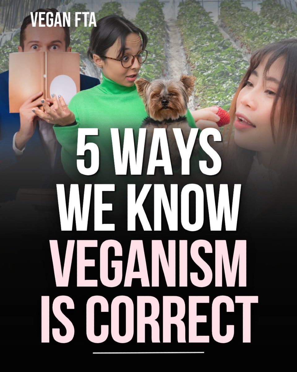 teamveganfta's tweet image. Not because vegans are morally superior. But when you follow the logic honestly, the final destination is clear. 🌱

Find out more 👇
veganfta.com/blog/2026/04/1…

#veganism #vegan #vegancommunity