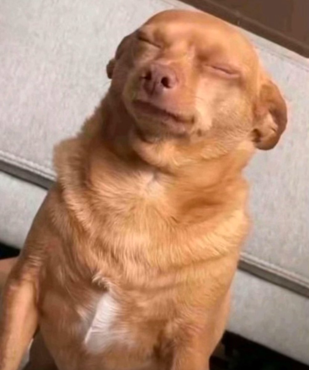 Vicky boy tweet media