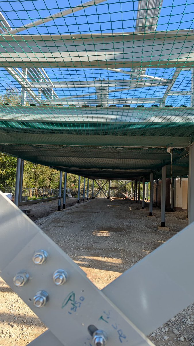 Long Field Spencer Academy tweet media