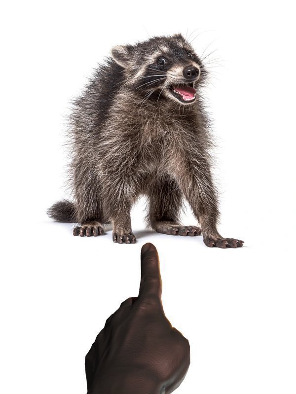 DouglasFresh2death tweet media