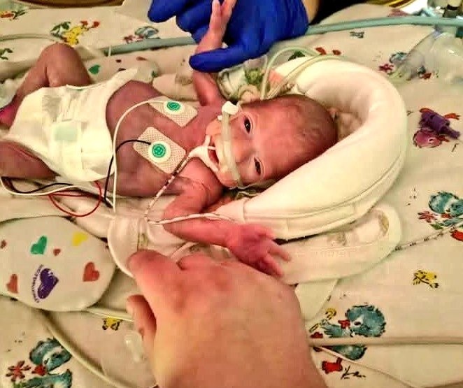 Precious Life tweet media