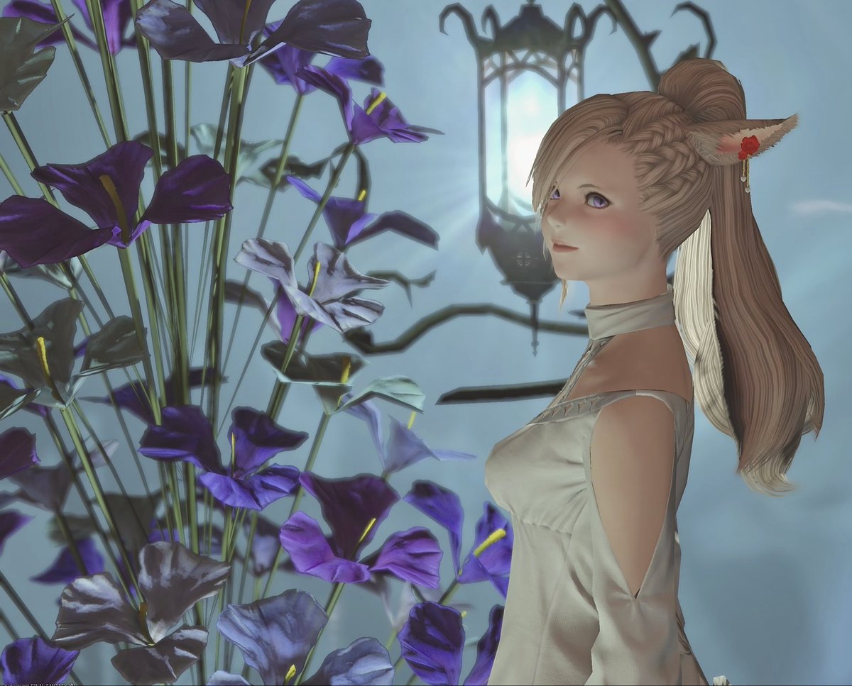 Ray🌸癒しのViera tweet media