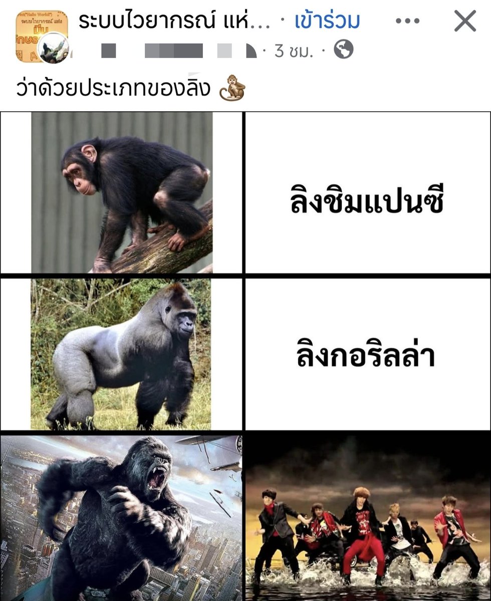 ACE_T 5HINee TAEMCHELLA🐥 tweet media