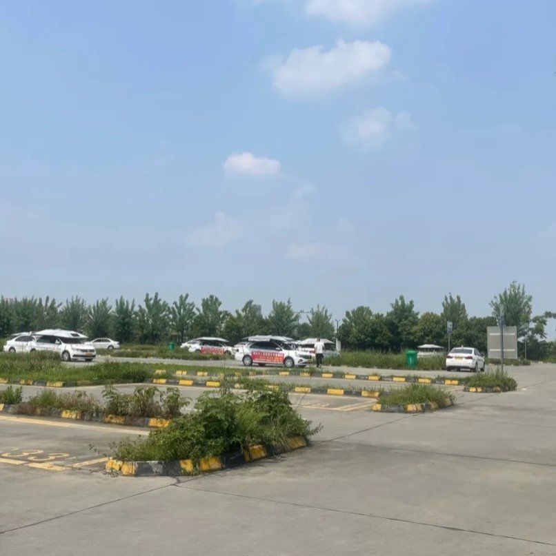 nelu darius tweet media