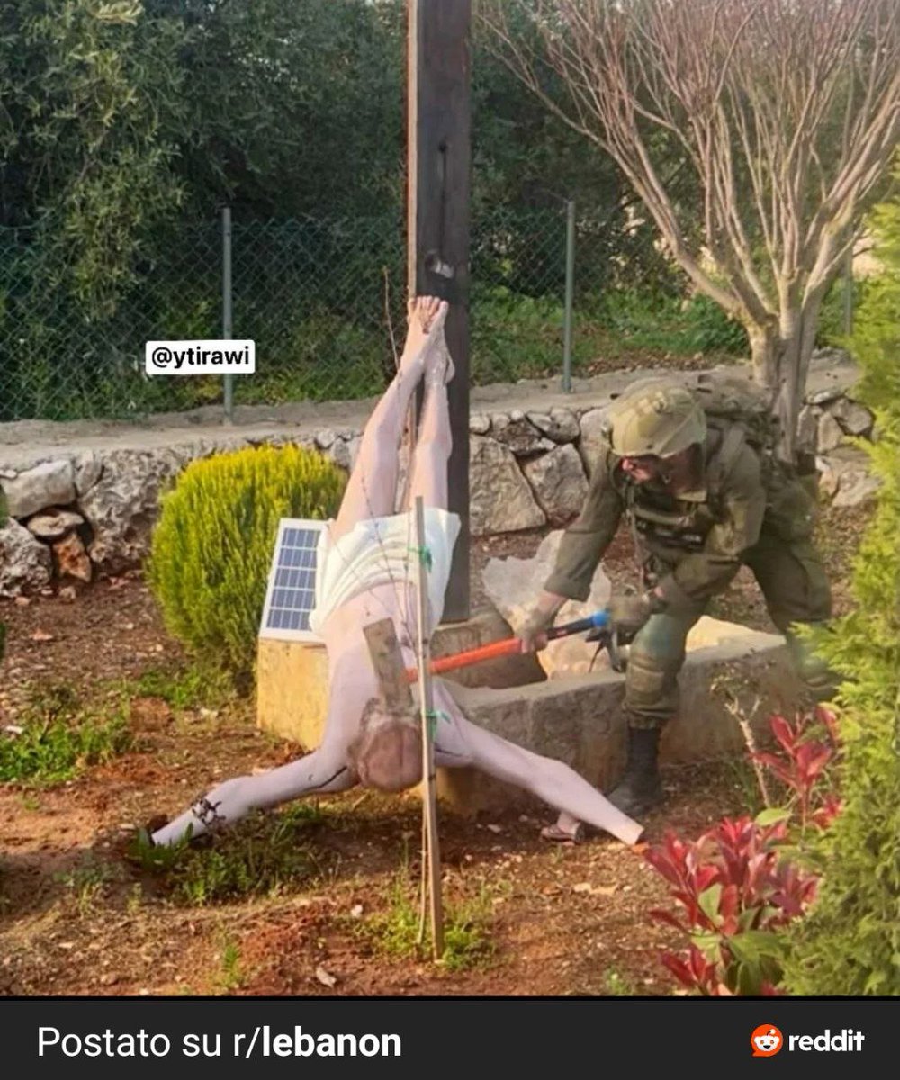 National Socialist American Revivalist Party tweet media