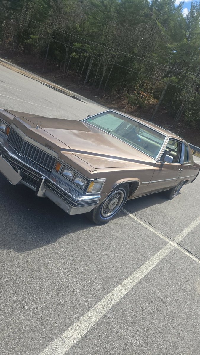 DarkDwagon tweet media