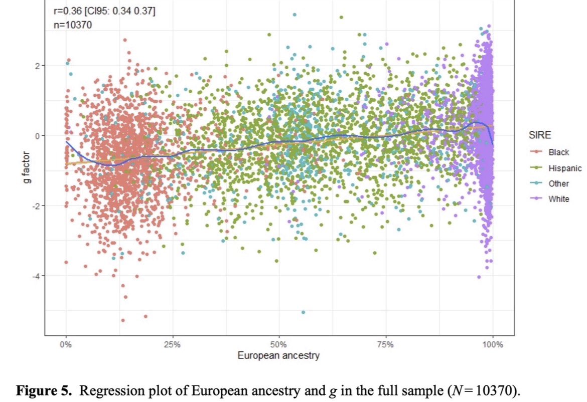 🎃Techno Optimist🎃 tweet media