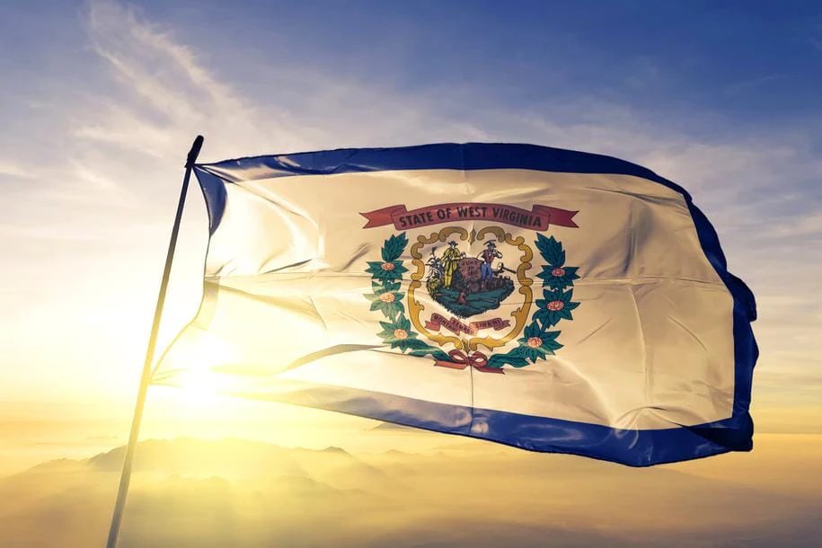 BLOXZ MEDIA tweet media