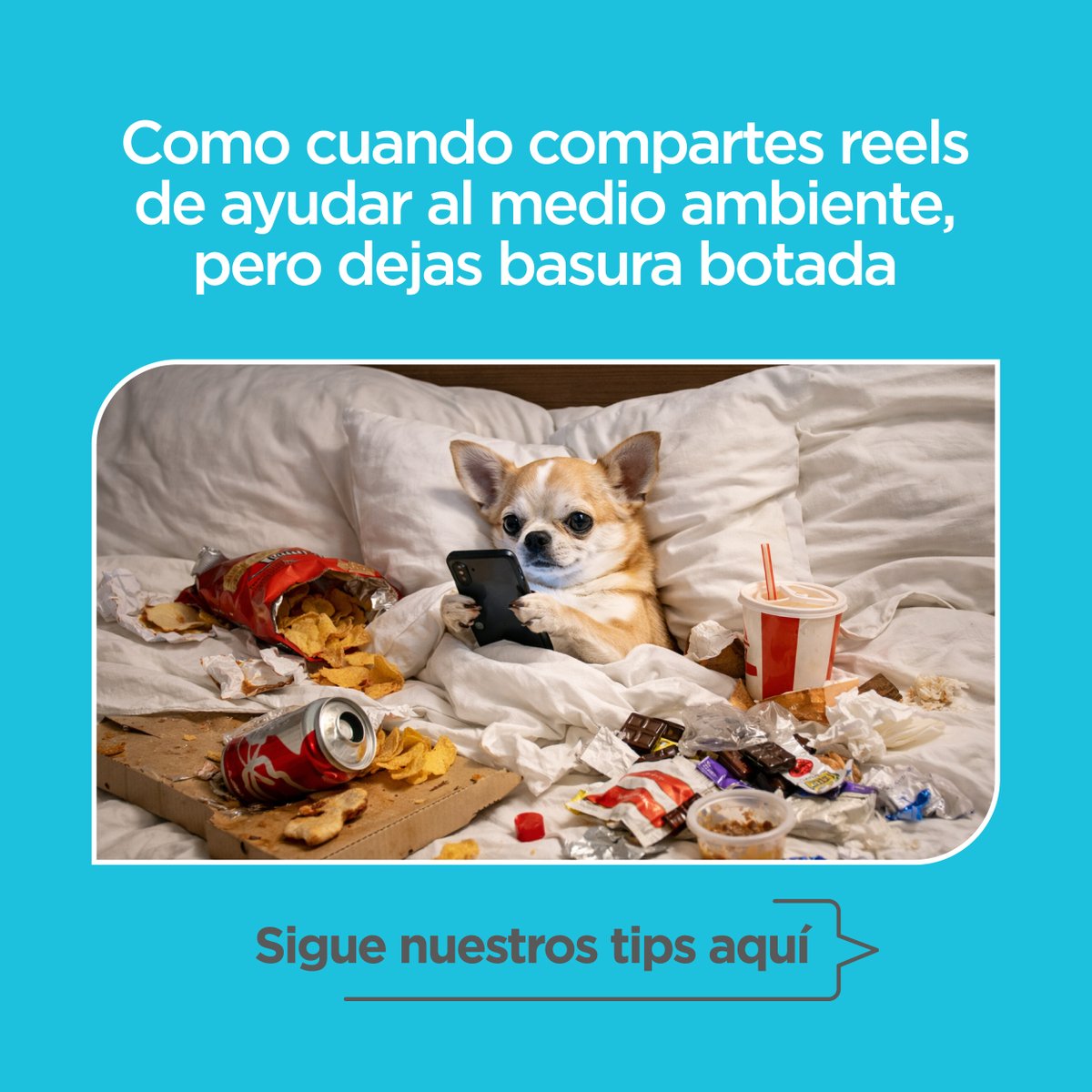 Banco Solidario tweet media