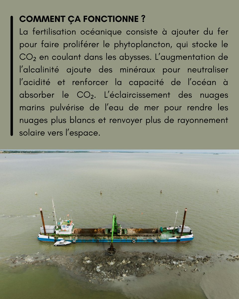 Le_Camulogene's tweet image. Géoingénierie marine : peut-on et doit-on forcer les Océans à avaler notre CO₂ ?
lecamulogene.fr/2026/04/21/geo…
Par Ludmila Diato.
#geoingenieriemarine #ocean #climat #rechauffementclimatique #co2 #environnement #sciences #ecologie #carbone #oceanographie #changementclimatique #planete