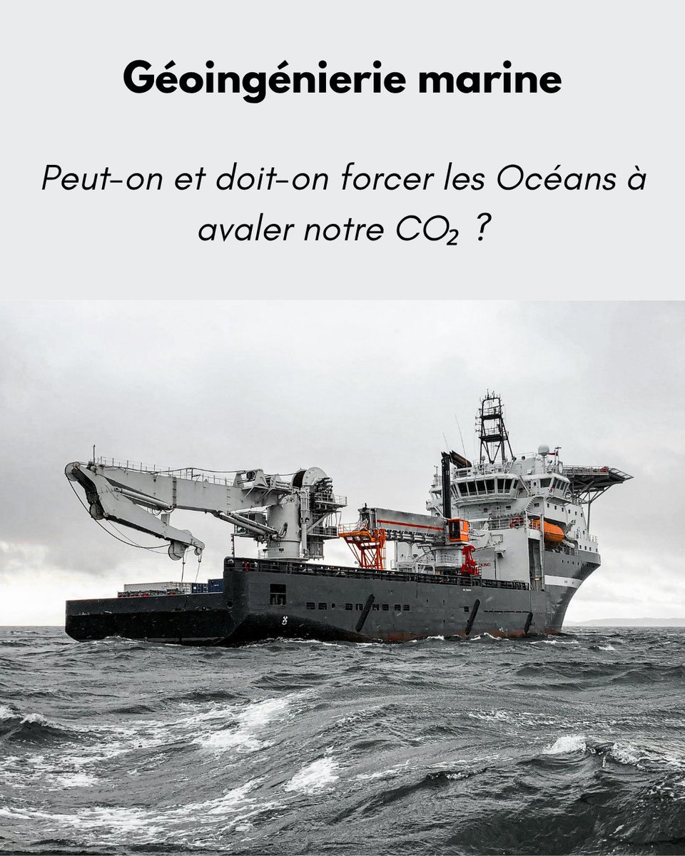 Le_Camulogene's tweet image. Géoingénierie marine : peut-on et doit-on forcer les Océans à avaler notre CO₂ ?
lecamulogene.fr/2026/04/21/geo…
Par Ludmila Diato.
#geoingenieriemarine #ocean #climat #rechauffementclimatique #co2 #environnement #sciences #ecologie #carbone #oceanographie #changementclimatique #planete