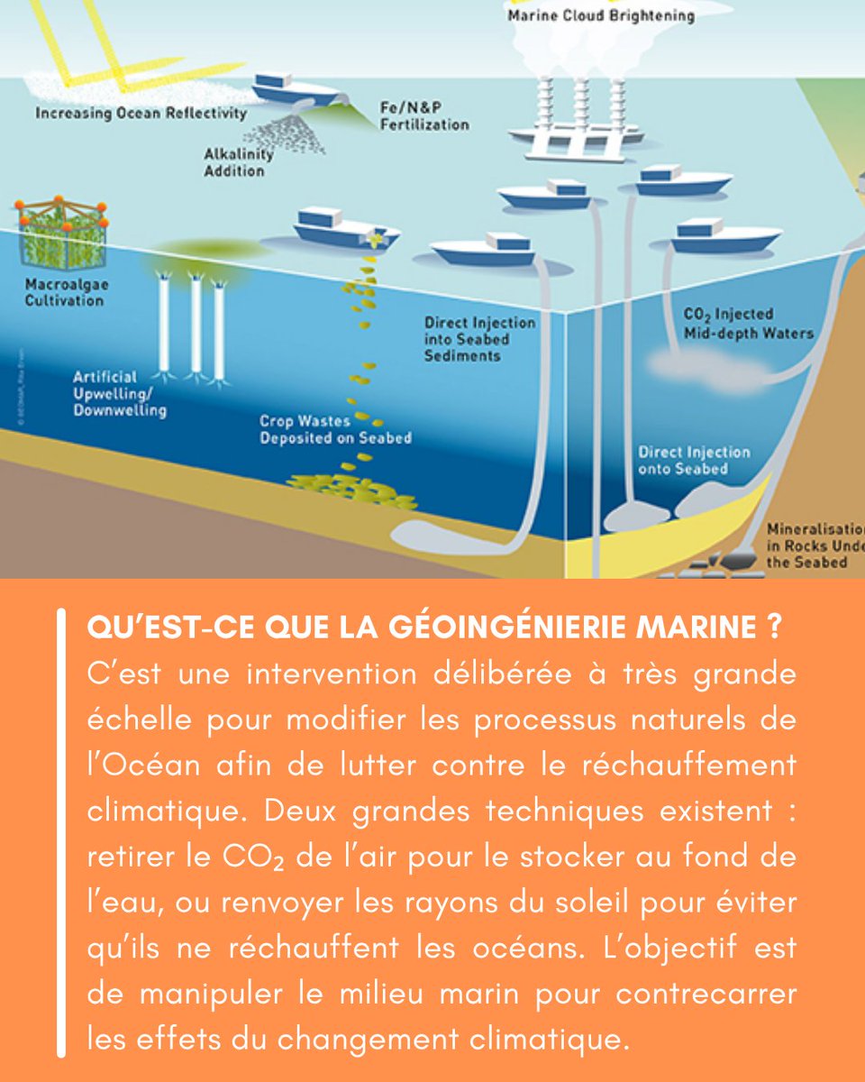 Le_Camulogene's tweet image. Géoingénierie marine : peut-on et doit-on forcer les Océans à avaler notre CO₂ ?
lecamulogene.fr/2026/04/21/geo…
Par Ludmila Diato.
#geoingenieriemarine #ocean #climat #rechauffementclimatique #co2 #environnement #sciences #ecologie #carbone #oceanographie #changementclimatique #planete
