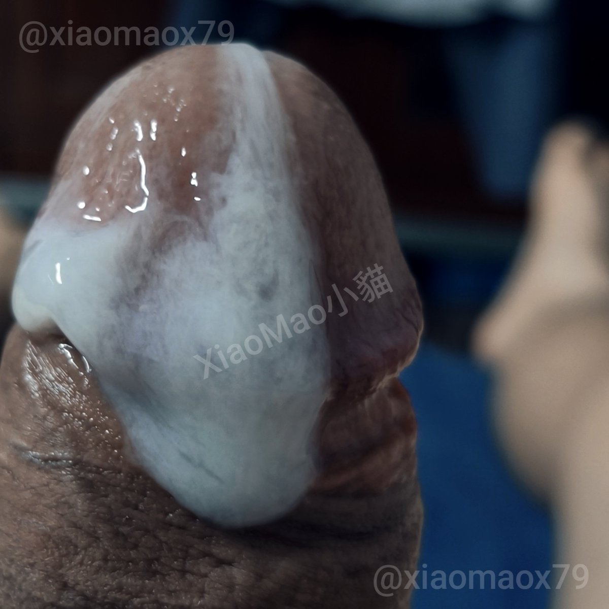 XiaoMao小貓 tweet media